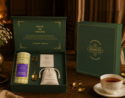 The Companion Collection