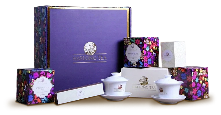 Discover Our Collections